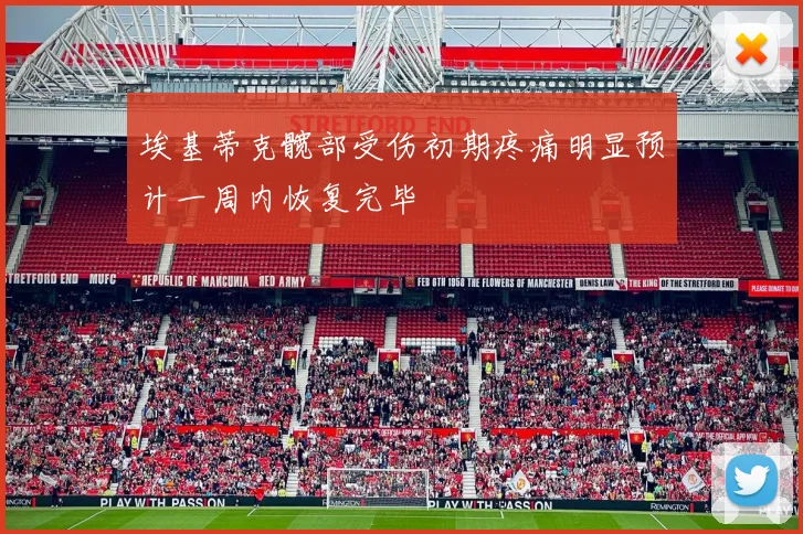 埃基蒂克髋部受伤初期疼痛明显预计一周内恢复完毕